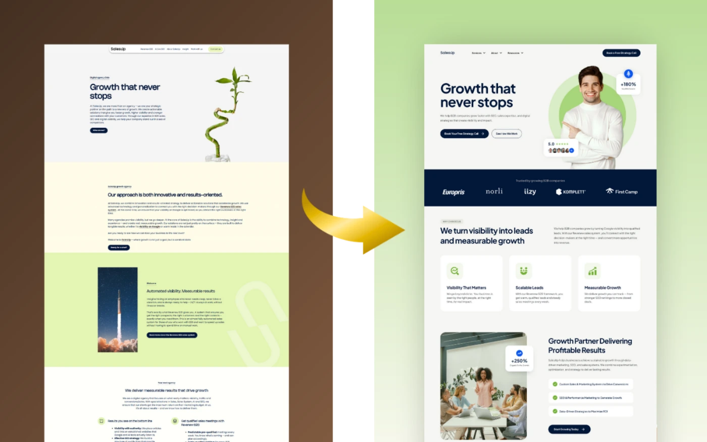 Plant store redesign preview